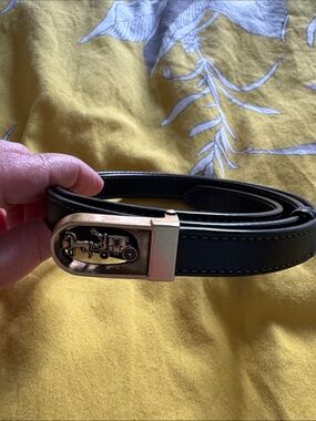 Coach belt